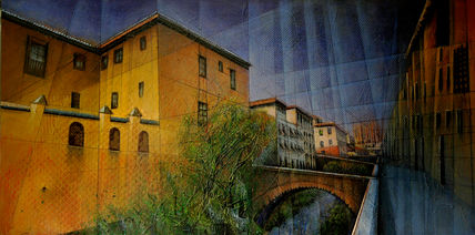 Arbusto del darro...