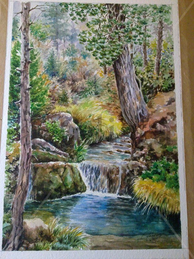 Arroyo de linarejos (Cazorla)