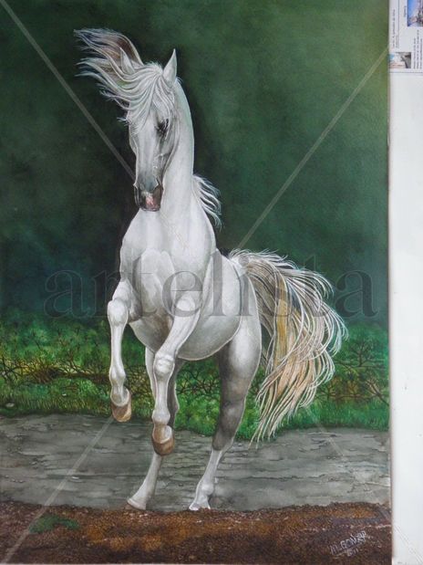 Caballo Andaluz