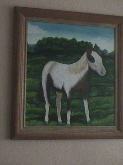 Caballo