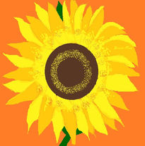 Girasol