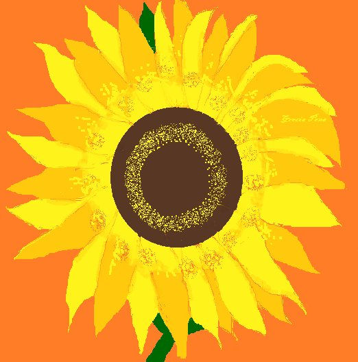 GIRASOL