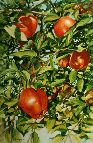 13 manzanas Oil Canvas Landscaping