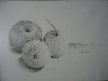 Frutas y frutos