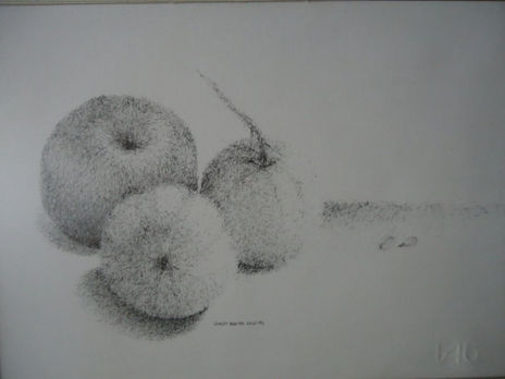 Frutas y frutos