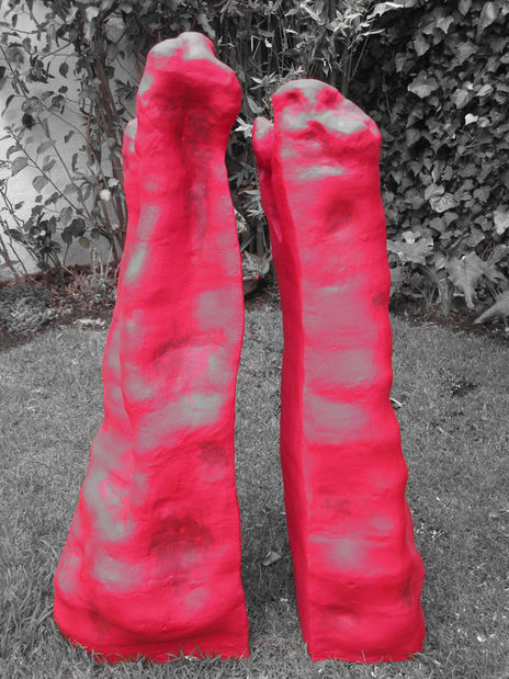 Coral rojo