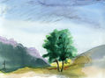 Árbol paisaje, Rupit