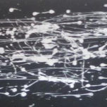 Polok thumbnail 2