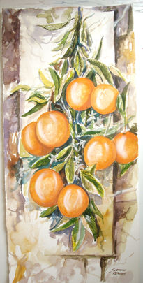 Naranjas acuarela