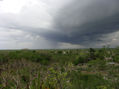 naturaleza y bendicion