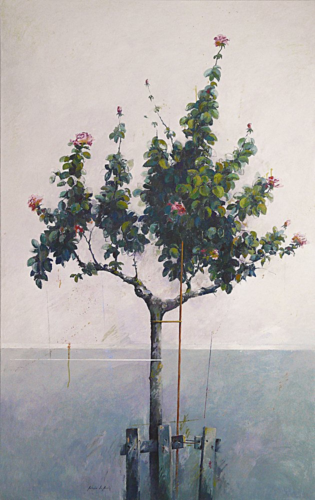 1017 rosal rosa 195 x 114