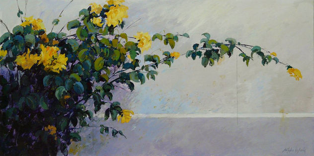 1011 rama amarilla 40x 80