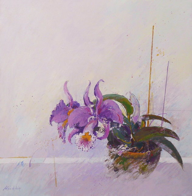 1078 orquideas para ti II  60X 60