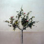 0993 rosal sobre zocalo rosa 180 x 180