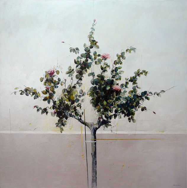 0993 rosal sobre zocalo rosa 180 x 180