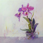 ORQUIDEAS thumbnail 2