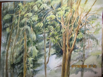 Mi bosque 2