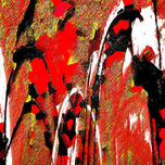 Cotiledon thumbnail 2