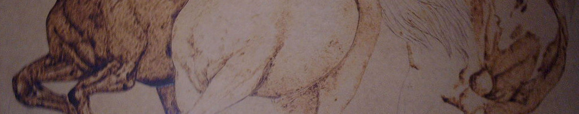 Imagen de portada