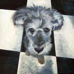 Animals thumbnail 1