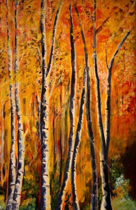 The Siberian Woods