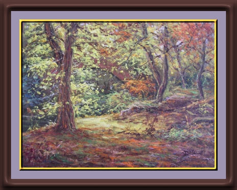 Contraluz en el bosque