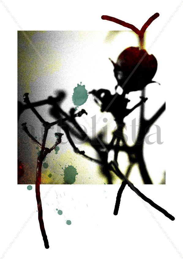 Técnica Mixta