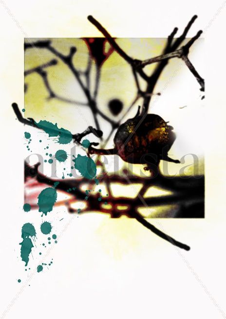 Técnica Mixta