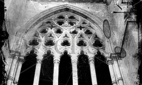hermetica lleida