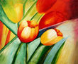 campo de tulipanes