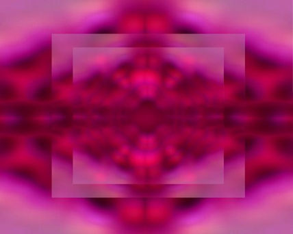 Flor rosa