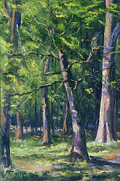 06_Bosque umbrío Oil Canvas Landscaping