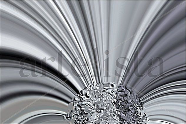 Reflejos Plateados