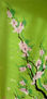 Flor de Cerezo 2