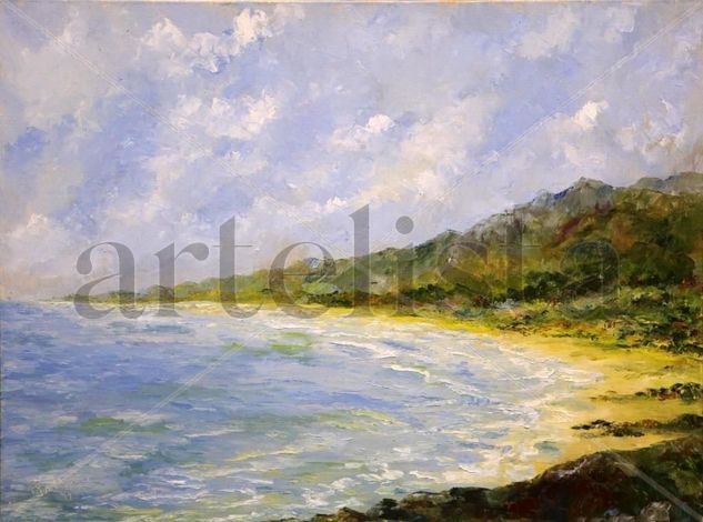 Bahía de Patanemo Oil Canvas Landscaping