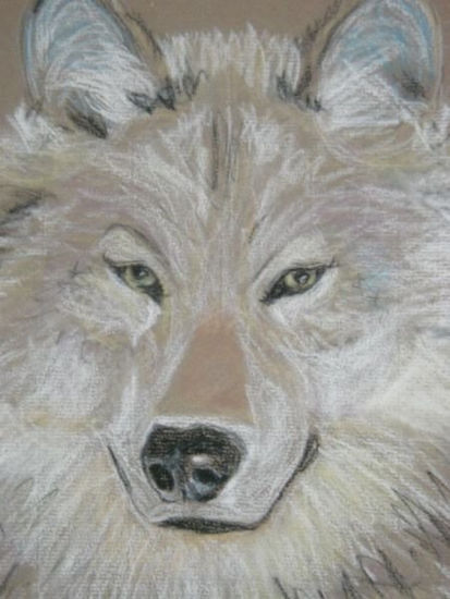 Cara de lobo Pastel Papel Animales