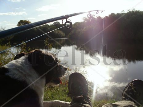Tarde de pesca