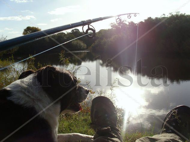 Tarde de pesca 