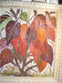 Hojas del jardin
