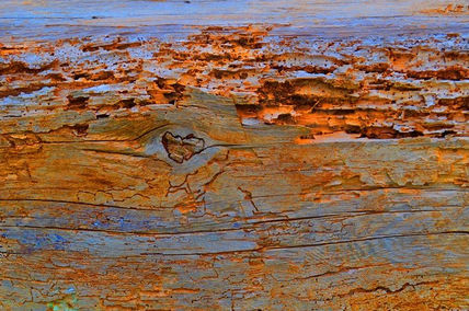 Textura forestal2