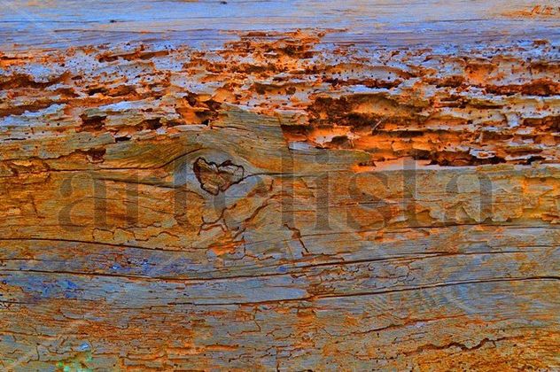 textura forestal2