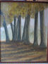 ARBOL TRAPICHE PEÑAFLOR