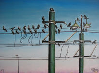 Birds on wires