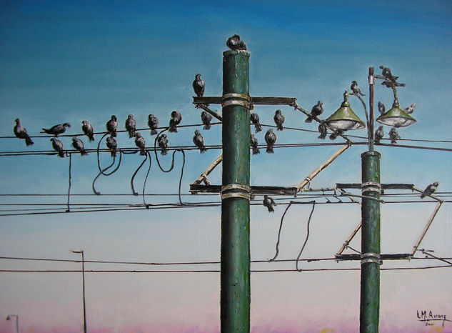 birds on wires 