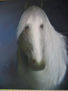 CABALLO