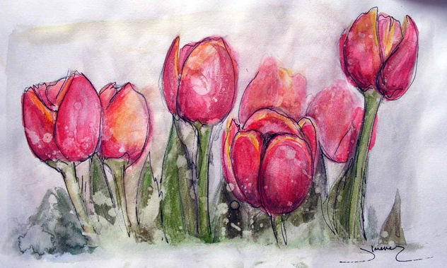 tulipanes rojos