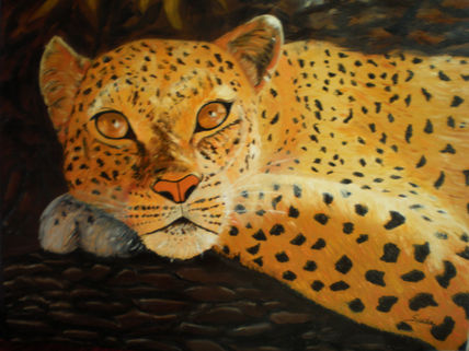 Tigre