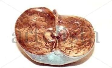 Media manzana