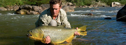 Biodiversidad