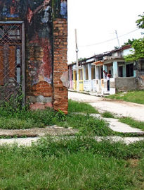 La habana de hierba